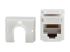 Eaton Tripp Lite Series Cat6a 110-Style Punchdown RJ45 Keystone Jack, White, TAA - Framsidan