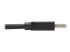 Eaton Tripp Lite Series USB 3.2 Gen 1 SuperSpeed A/A Cable (M/M), Black, 6 ft. (1.83 m) - Närbild