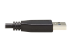 Eaton Tripp Lite Series USB-C to USB-A Cable (M/M), USB 3.2 Gen 2 (10 Gbps), Thunderbolt 3 Compatible, 20-in. (50.8 cm) - Närbild
